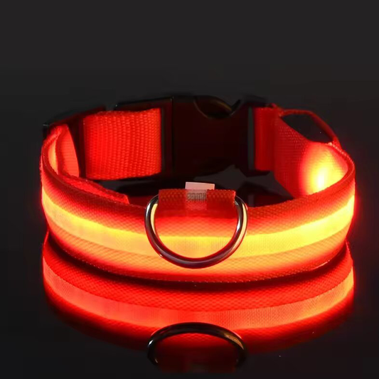 Nylon dog collar with LED light