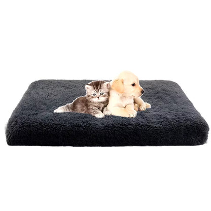 Bed for dogs and cats